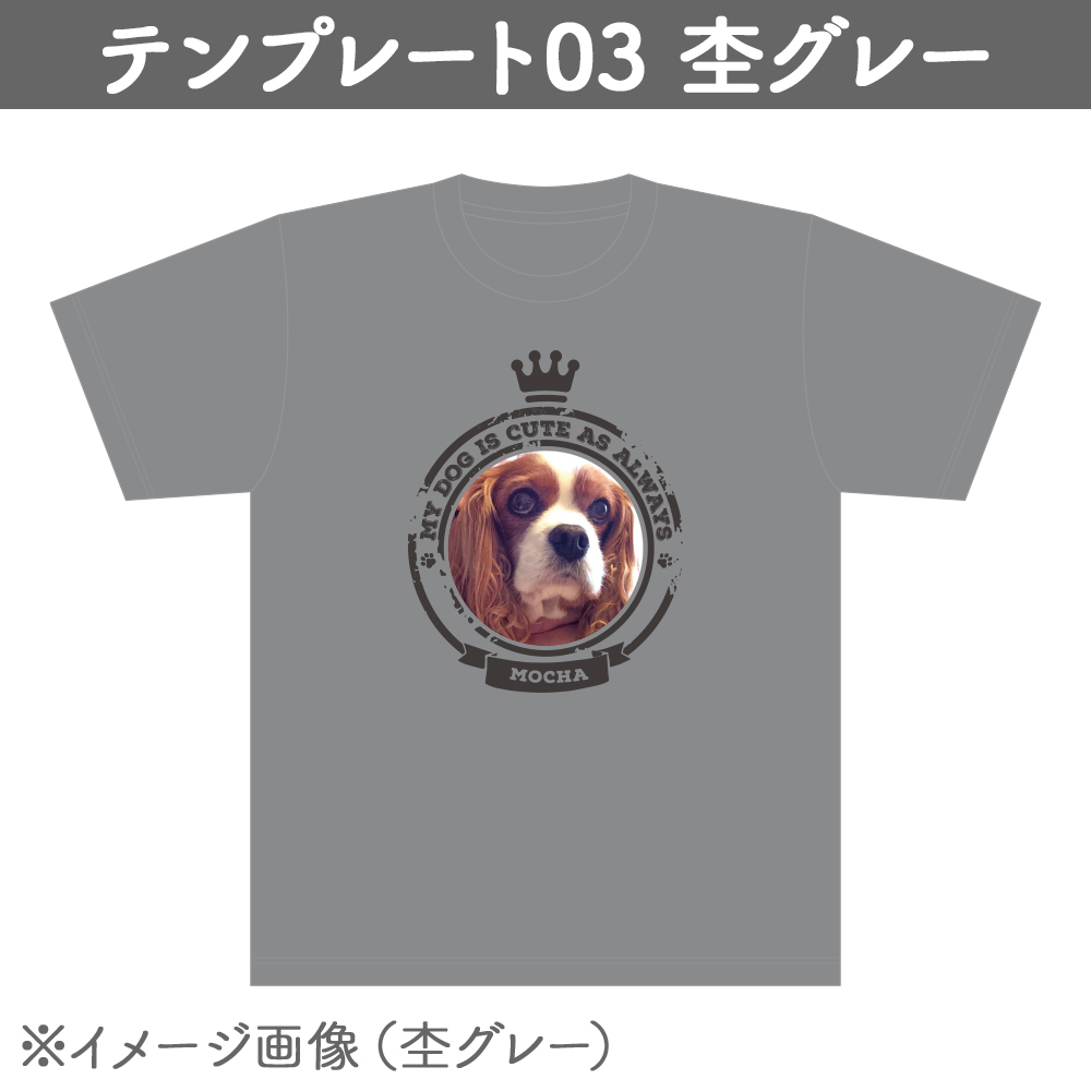 【プリントライフエッグ】Tシャツ 5.6オンス ヘビーウェイト 杢グレー テンプレ03